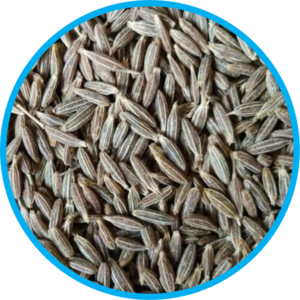 cumin seeds