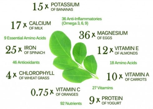 HTB1Y8IgOFXXXXXIapXXq6xXFXXXK