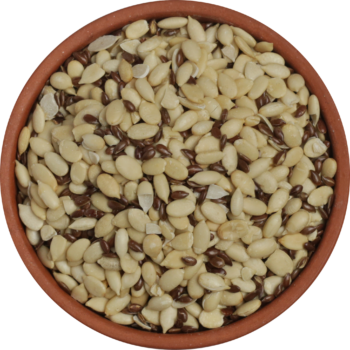 Roasted-Watermelon-_-Flaxseeds_1024x1024@2x
