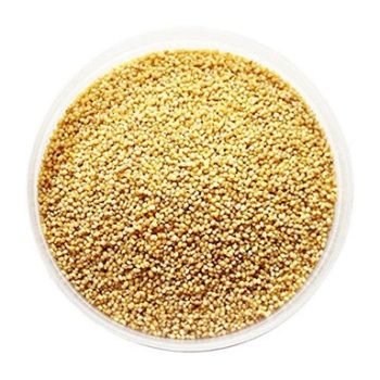 foxtail