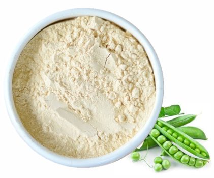 pea protein