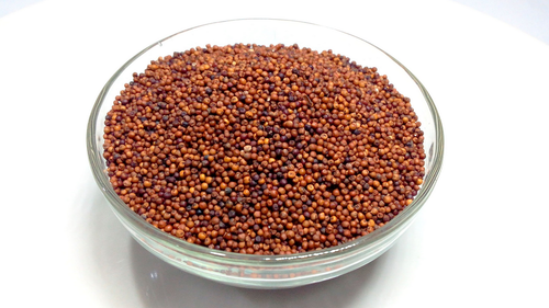 ragi-millet