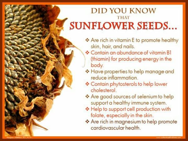 sunflower seed benefits