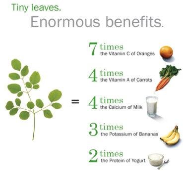 Moringa-diagram