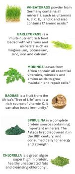 Moringa Leaf Powder | 200g zipper pouch